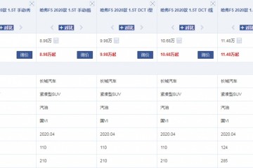 哈弗再发力比群众探歌更大配四轮独悬加6.6L油耗7.98万起