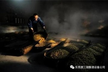 酿酒工艺生料酿酒与熟料酿酒的优缺点