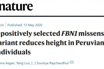 Nature一个与身高有关的基因变异最高可影响4.4厘米